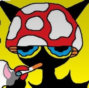 Meet your Posher, Jasper